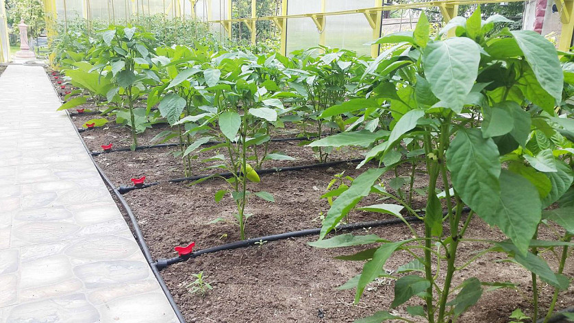 Автоматические системы полива изображение 5