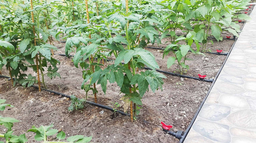 Автоматические системы полива изображение 3