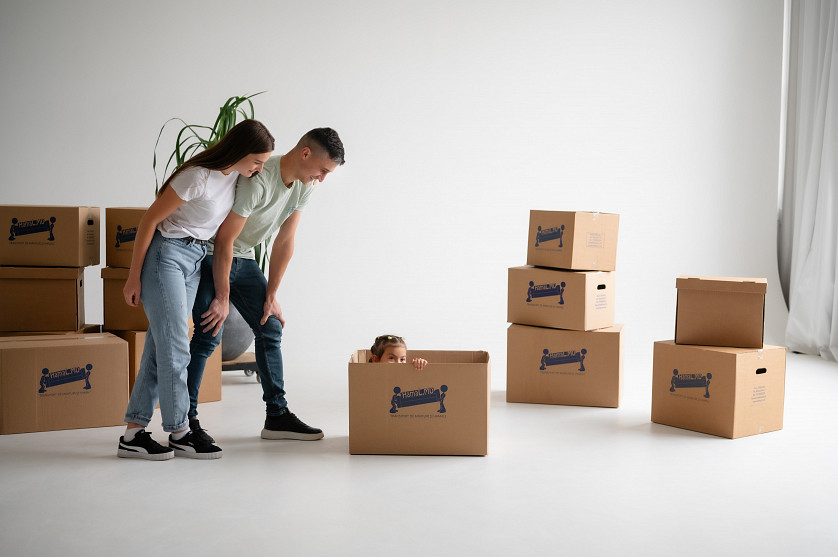 Перевозка и подъем оборудования в Кишиневе imagine 1