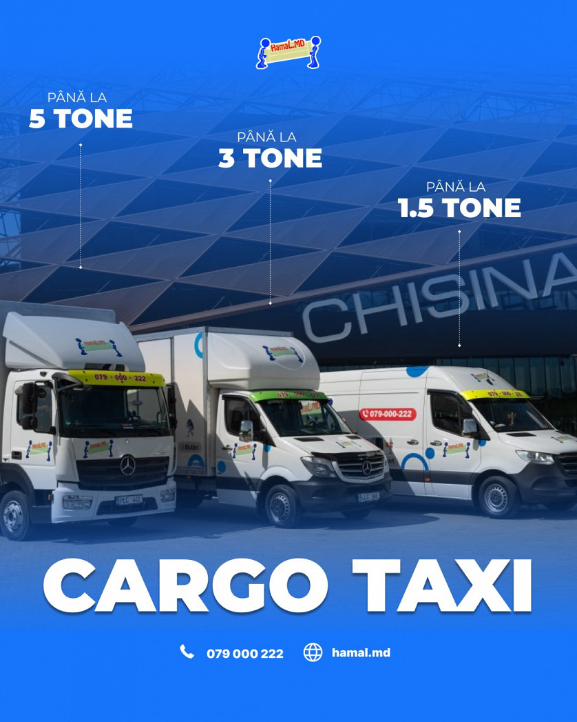 Профессиональная команда Hamal.md – Грузчики и перевозки в Кишинёве изображение 3